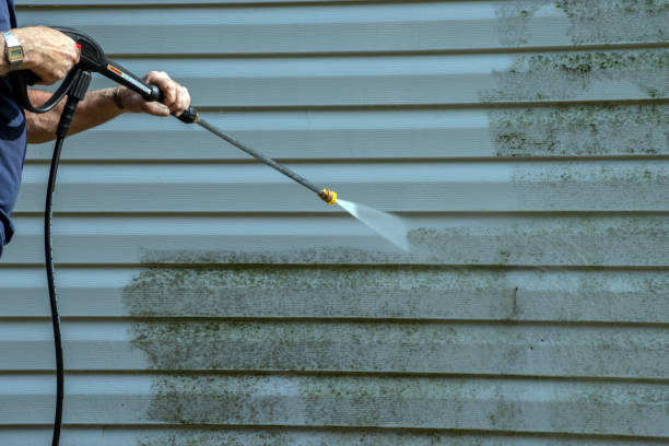 Best Vinyl Siding Pressure Washing in Scanlon, MN